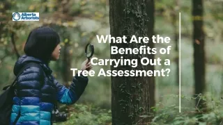 What Are the Benefits of Carrying Out a Tree Assessment