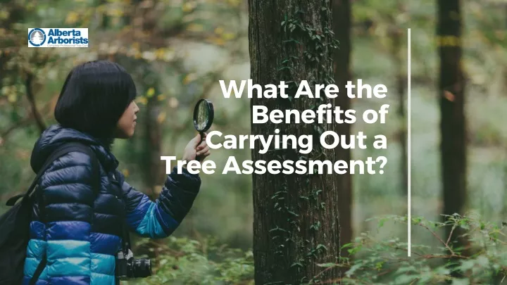 what are the benefits of carrying out a tree