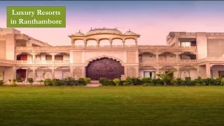 Luxury Resorts in Ranthambore | Corporate Outing in Ranthambore