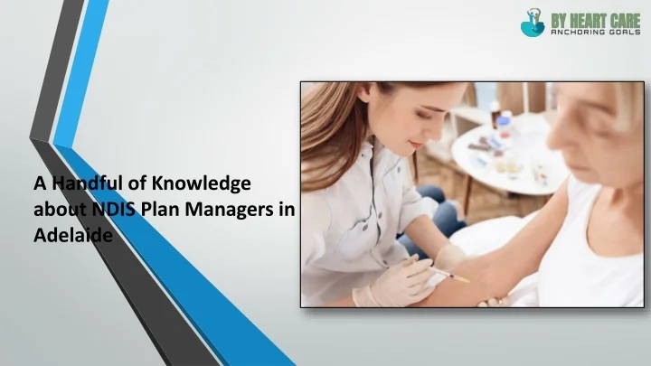 PPT - A Handful of Knowledge about NDIS Plan Managers in Adelaide ...