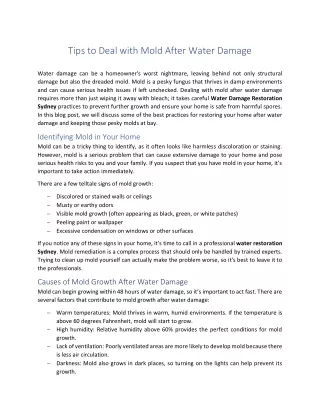 Tips to Deal with Mold After Water Damage