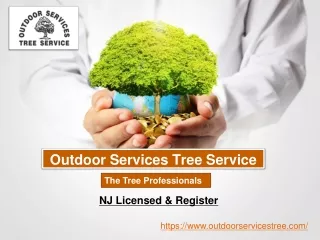All Tree Services in New Jersey