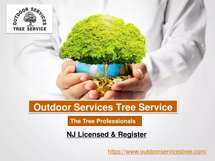 outdoor services tree service