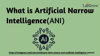 what is artificial narrow intelligence ani
