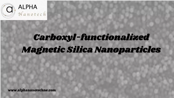 carboxyl functionalized magnetic silica