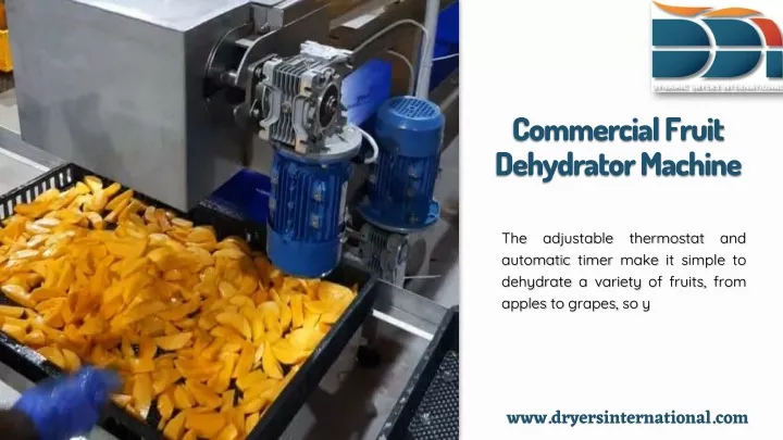 commercial fruit dehydrator machine