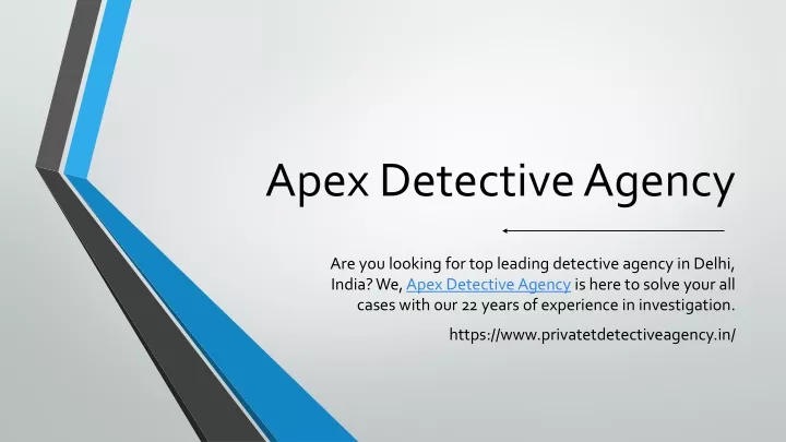 apex detective agency