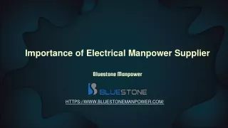 Importance of Electrical Manpower Supplier