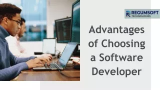 advantages of c hoosing a s oftware d eveloper