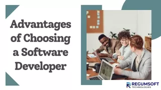 advantages of choosing a software developer