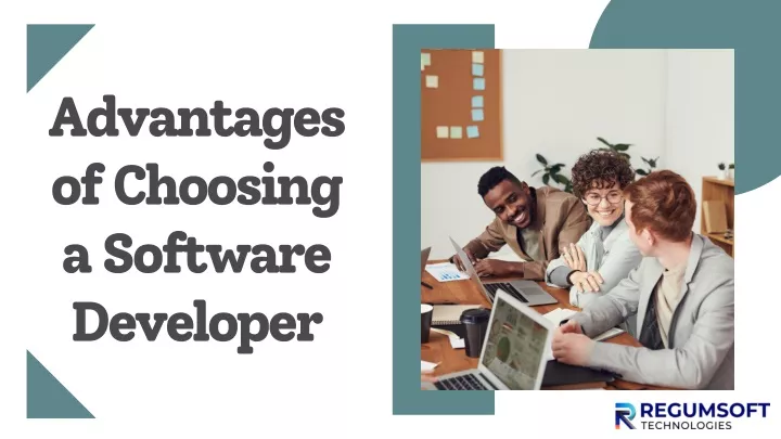 advantages of choosing a software developer