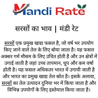 सरसों का भाव - मंडी रेट