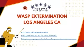 Wasp Extermination Los Angeles CA