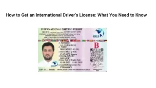 How to Get an International Driver’s License