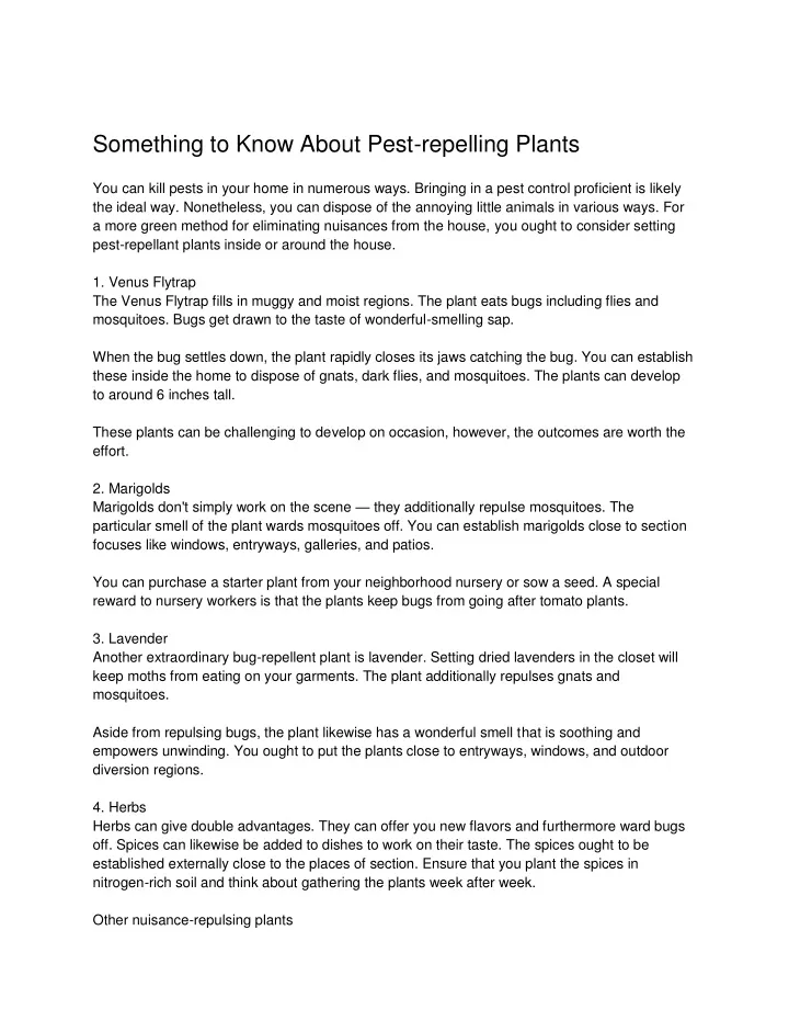 something to know about pest repelling plants