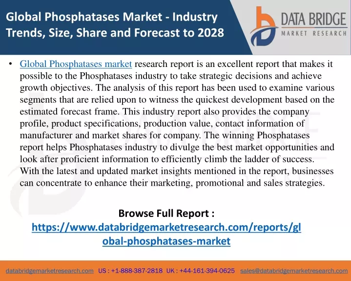 global phosphatases market industry trends size