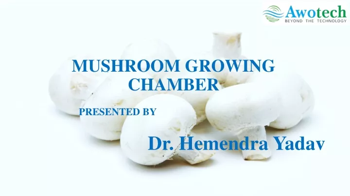 mushroom growing chamber