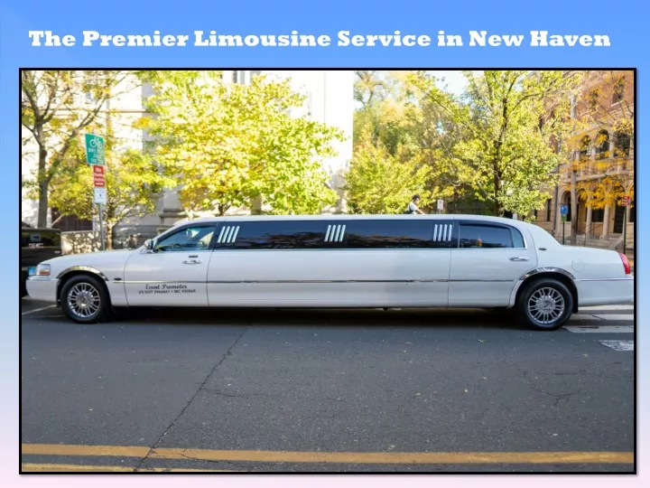the premier limousine service in new haven