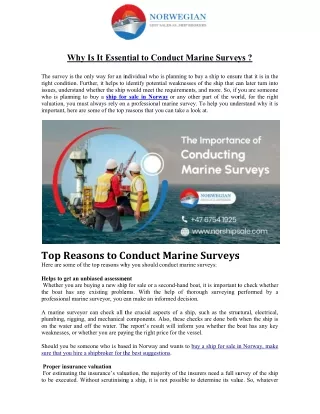 Why Is It Essential to Conduct Marine Surveys