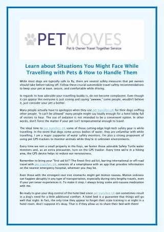 Learn about Situations You Might Face While Travelling with Pets & How to Handle Them