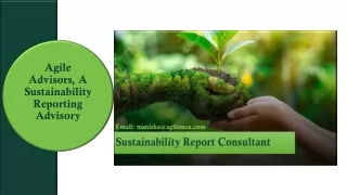 agile advisors a sustainability reporting advisory