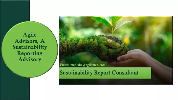 agile advisors a sustainability reporting advisory