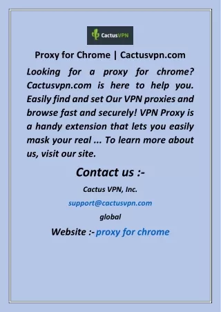 Proxy for Chrome  Cactusvpn com