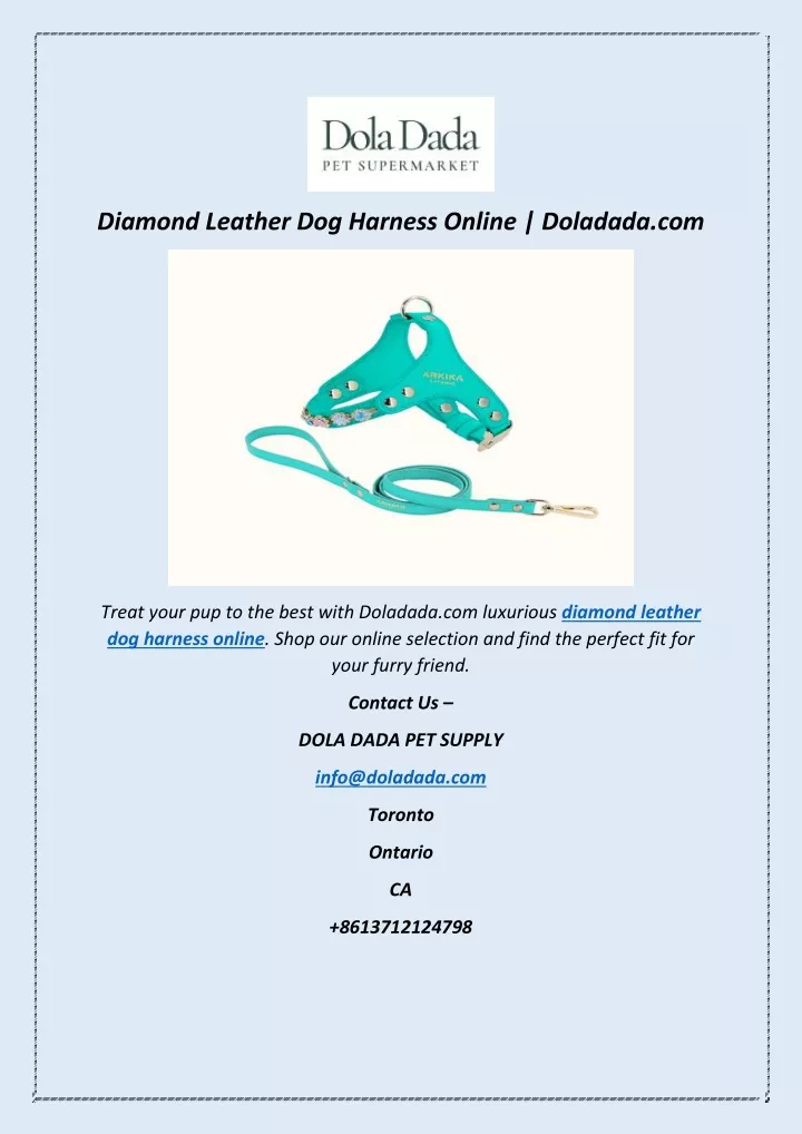 diamond leather dog harness online doladada com
