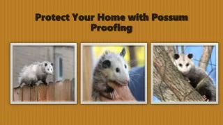 protect your home with possum proofing
