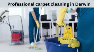 Professional carpet cleaning in Darwin