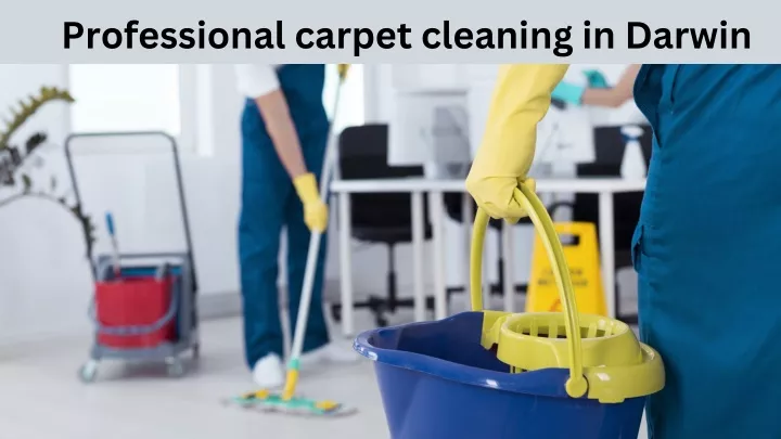 professional carpet cleaning in darwin