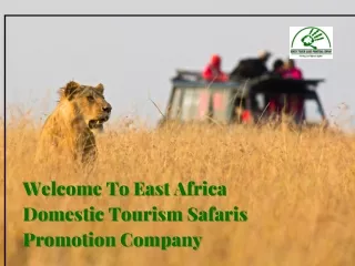 East Africa Domestic Tourism Safaris Promotion Company