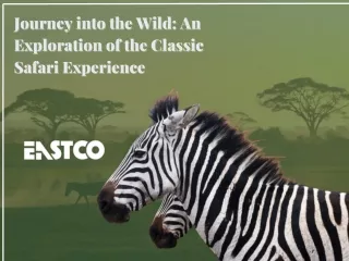 Experience A Classic Safari