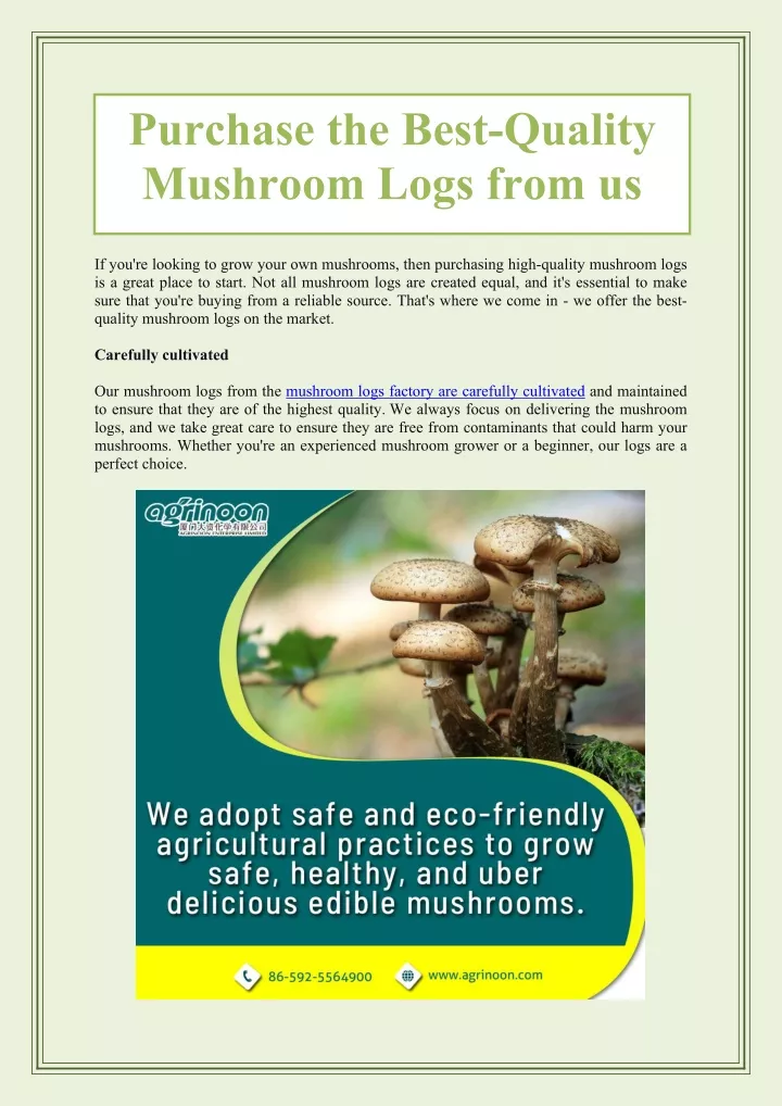 purchase the best quality mushroom logs from us