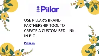Use Pillar's Brand Partnership Tool To Create a Customised Link In Bio