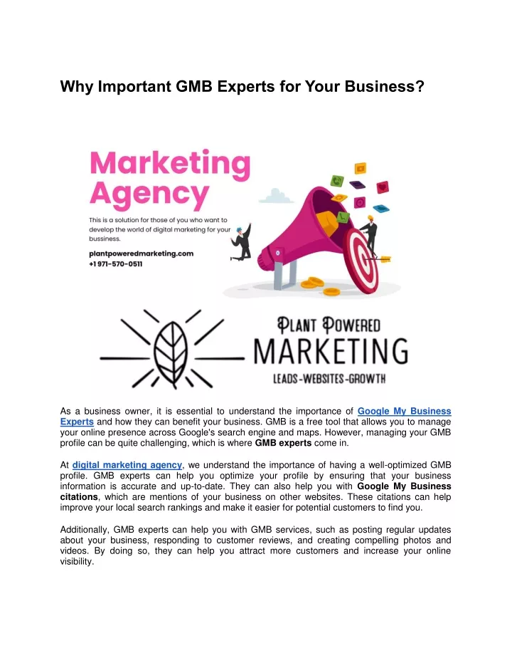 why important gmb experts for your business