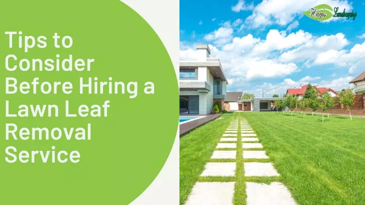 tips to consider before hiring a lawn leaf