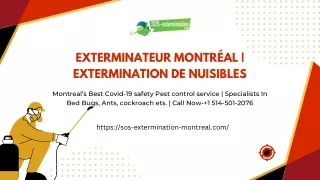 Pest Control Montreal