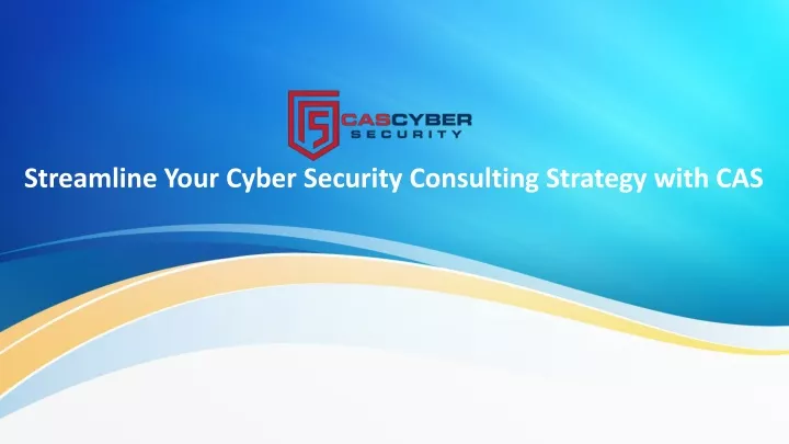 streamline your cyber security consulting