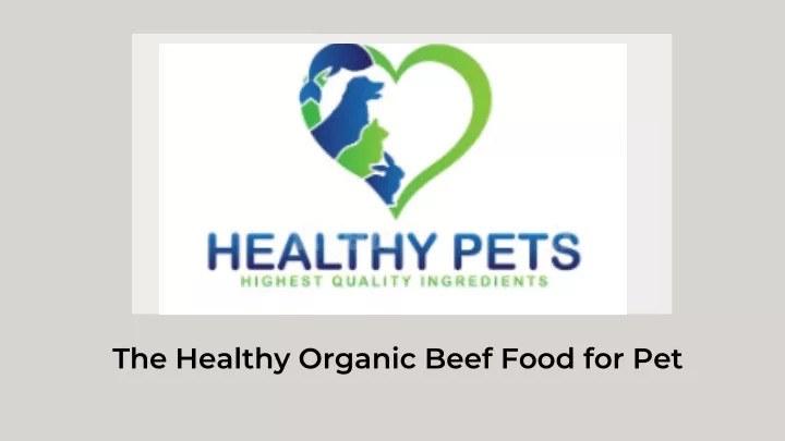 the healthy organic beef food for pet