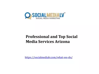 Professional and Top Social Media Services Arizona