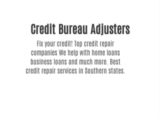Credit Bureau Adjusters