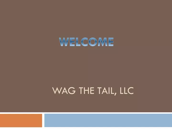 wag the tail llc