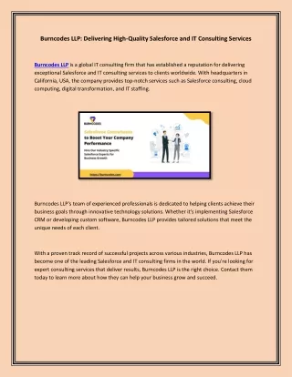 Burncodes LLP Delivering High-Quality Salesforce and IT Consulting Services