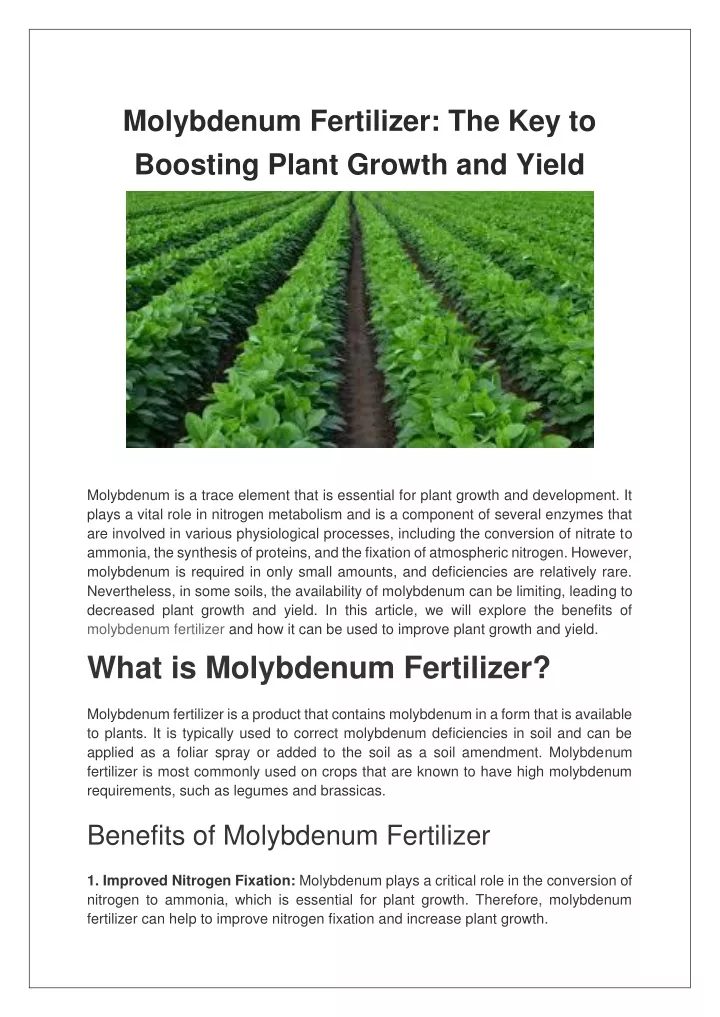 molybdenum fertilizer the key to boosting plant