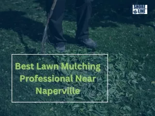 Best Lawn Mulching Professional Near Naperville