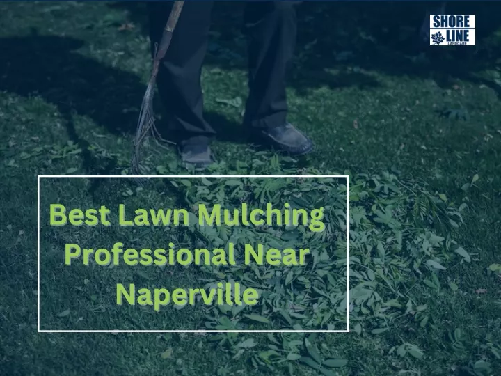 best lawn mulching best lawn mulching