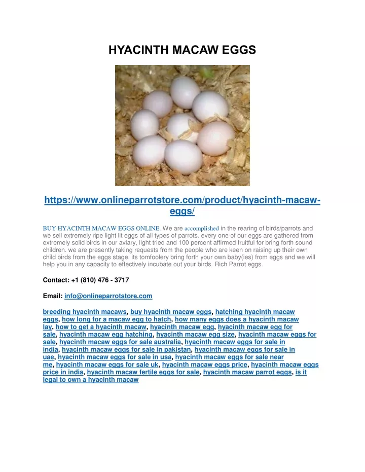 hyacinth macaw eggs