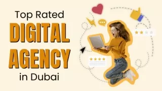 Top Rated Digital Agency in Dubai