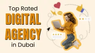 Top Rated Digital Agency in Dubai
